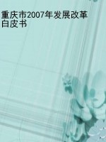 重庆市2007年发展改革