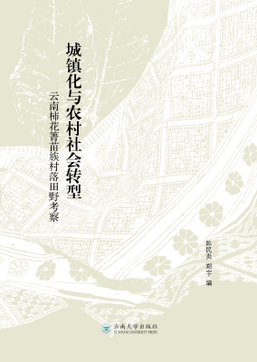 城镇化与农村社会转型