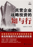 民营企业战略投资的知