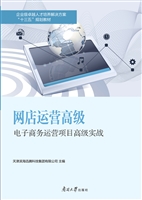 网店运营高级——电子