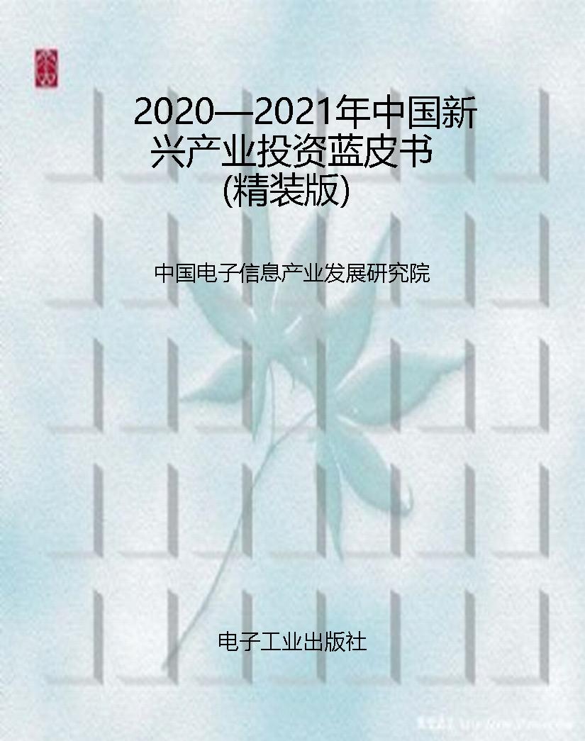 2020—2021年中国新兴