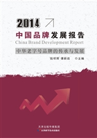 2014中国品牌发展报告