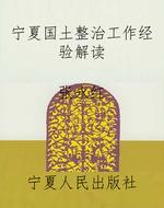 宁夏国土整治工作经验