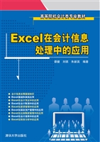 Excel在会计信息处理
