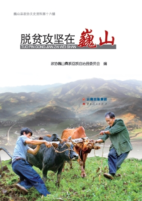 脱贫攻坚在巍山