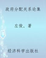 政府分配关系论集