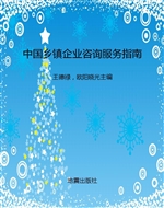 中国乡镇企业咨询服务