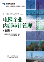 电网企业内部审计管理