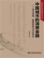 中国城市的消费金融—