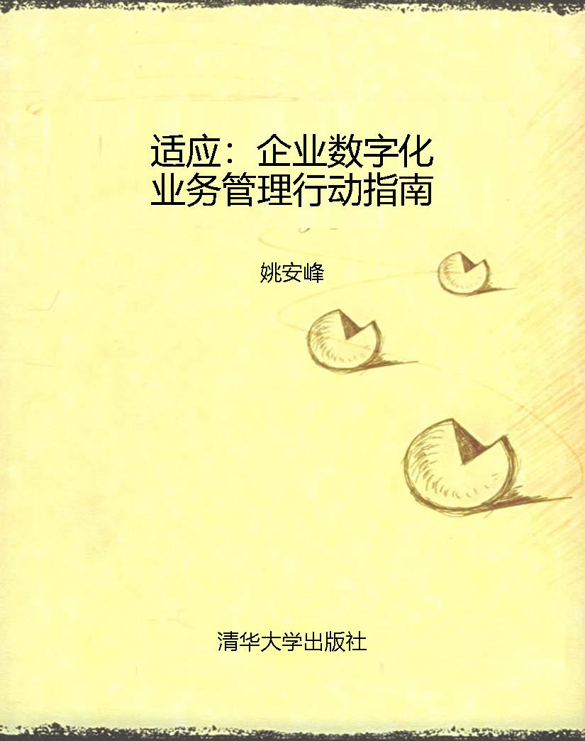 适应：企业数字化业务管