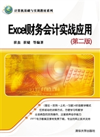 Excel财务会计实战应