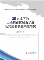3S支撑下的山地都市区
