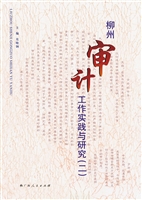 柳州审计工作实践与研