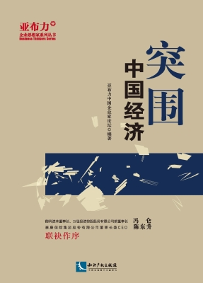 突围——中国经济