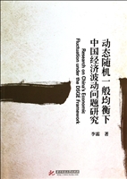 动态随机一般均衡下中