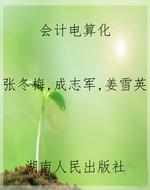 会计电算化