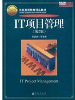 IT项目管理