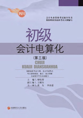 初级会计电算化