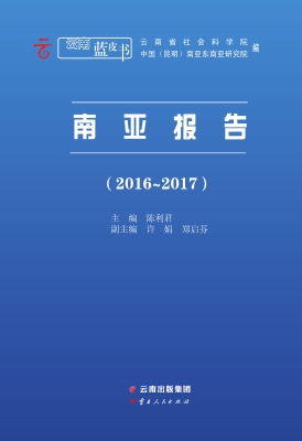 2016-2017南亚报告