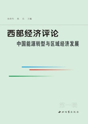 西部经济评论：中国能源