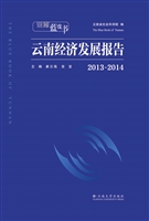 2013-2014云南经济发