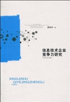 信息技术企业竞争力研