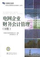 电网企业财务会计管理