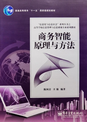 商务智能原理与方法