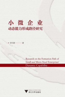 小微企业动态能力形成