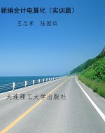 新编会计电算化（实训篇