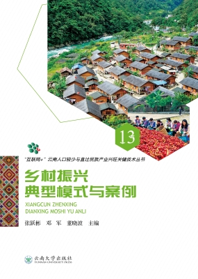 乡村振兴典型模式与案