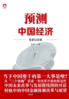 预测中国经济——名家