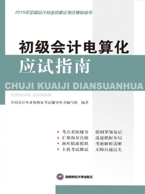 初级会计电算化应试指