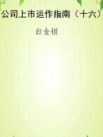 公司上市运作指南（十六