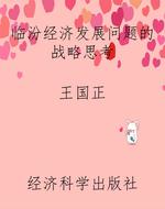 临汾经济发展问题的战