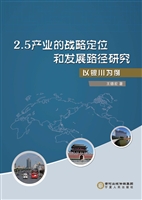 2.5产业的战略定位和