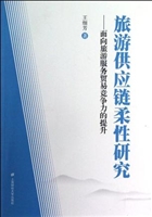 旅游供应链柔性研究