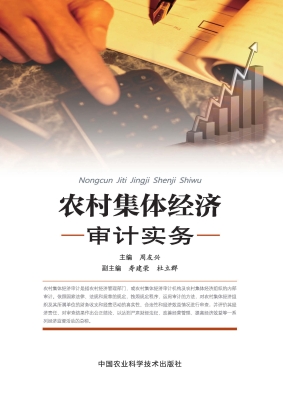 农村集体经济审计实务