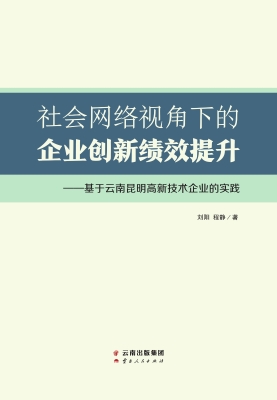 社会网络视角下的企业