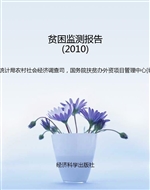 贫困监测报告（2010）