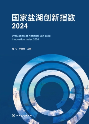 国家盐湖创新指数 202