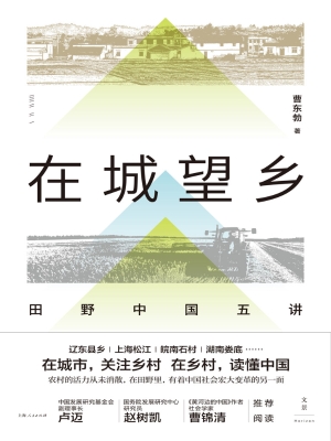 在城望乡：田野中国五讲