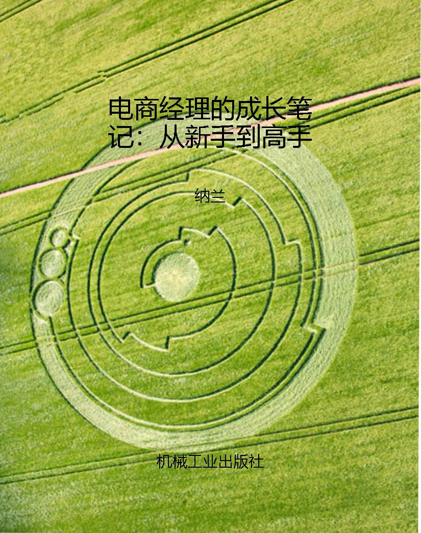 电商经理的成长笔记：从