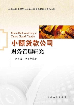 小额贷款公司财务管理