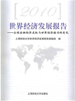 2010世界经济发展报告