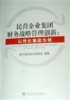 民营企业集团财务战略