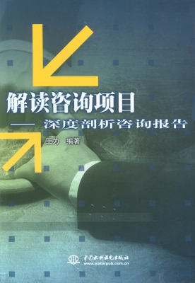 解读咨询项目——深度