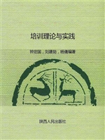 培训理论与实践
