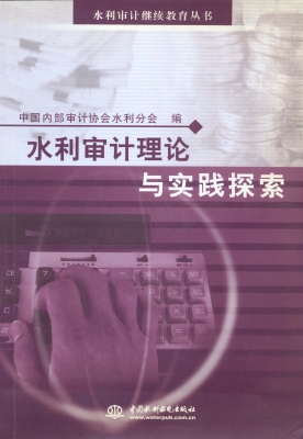 水利审计理论与实践探