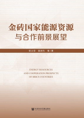 金砖国家能源资源与合